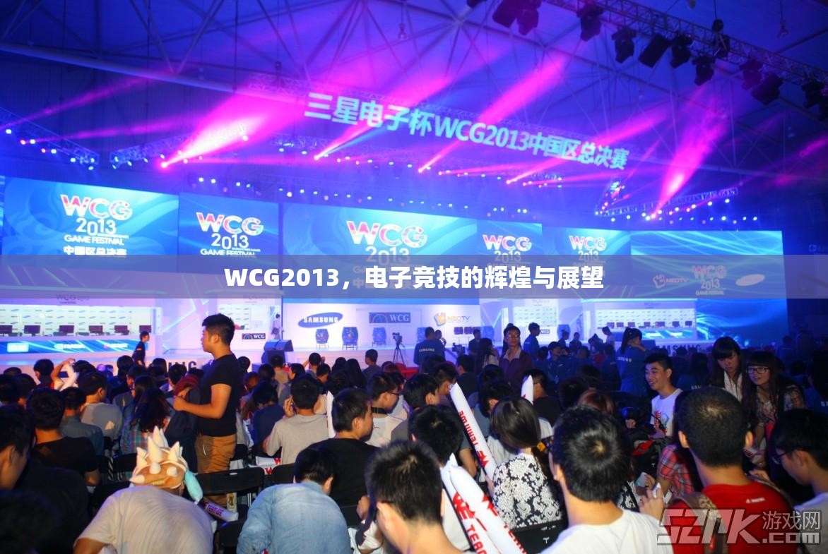 WCG2013，电子竞技的辉煌与展望