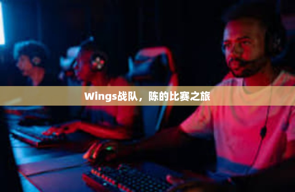 Wings战队，陈的比赛之旅